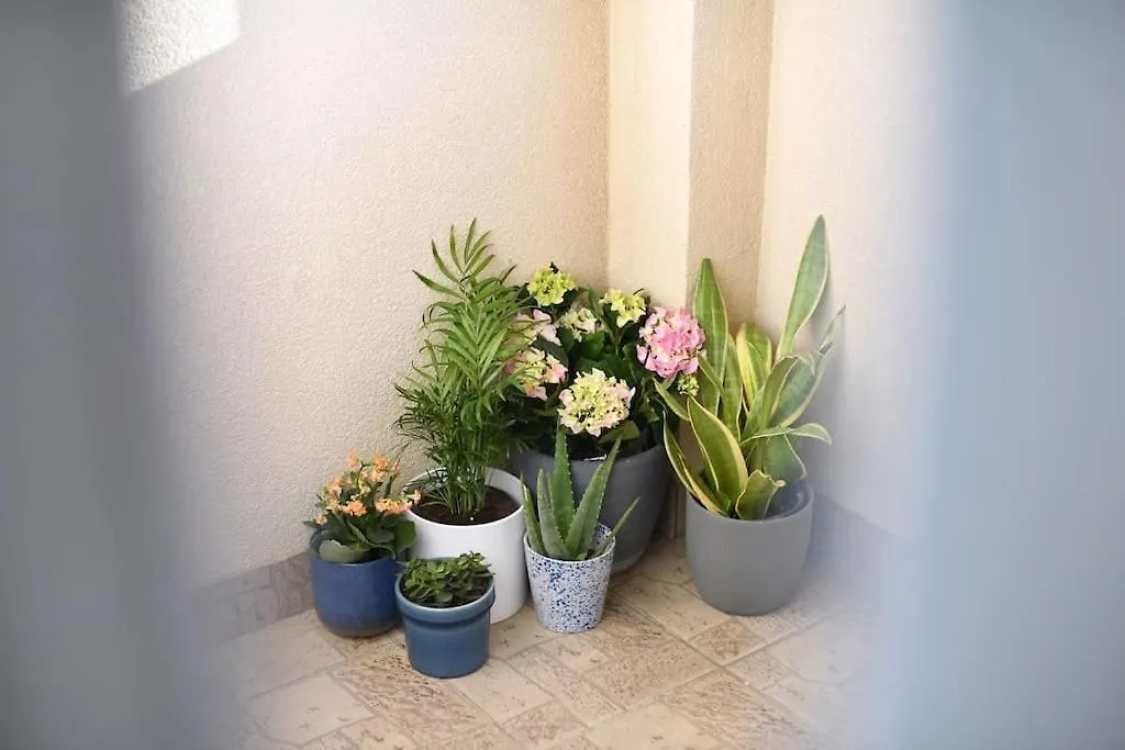 Family Apartment Manuela Zadar